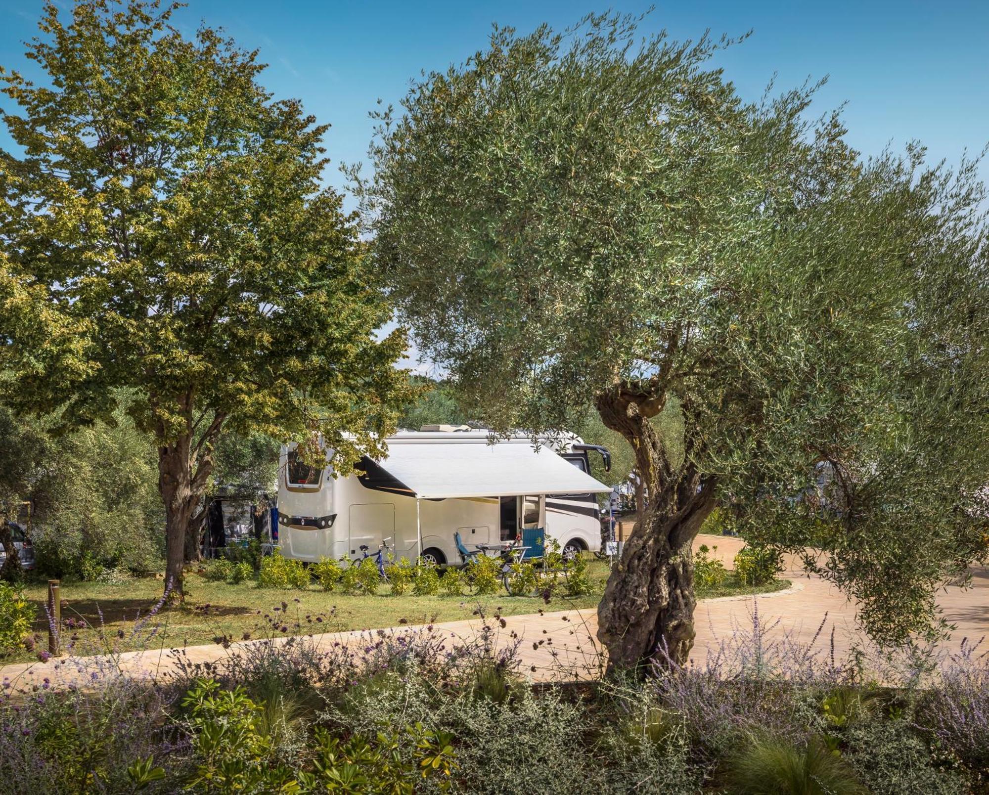 Maistra Camping Koversada Uncovered Naturist Pitches Vrsar Exteriér fotografie